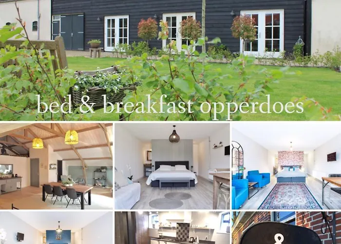Bed & Breakfast Bed&Breakfast Opperdoes