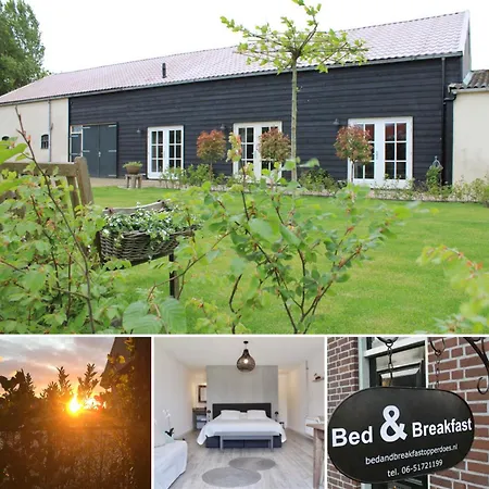 Bed & Breakfast Opperdoes 3* Opperdoes