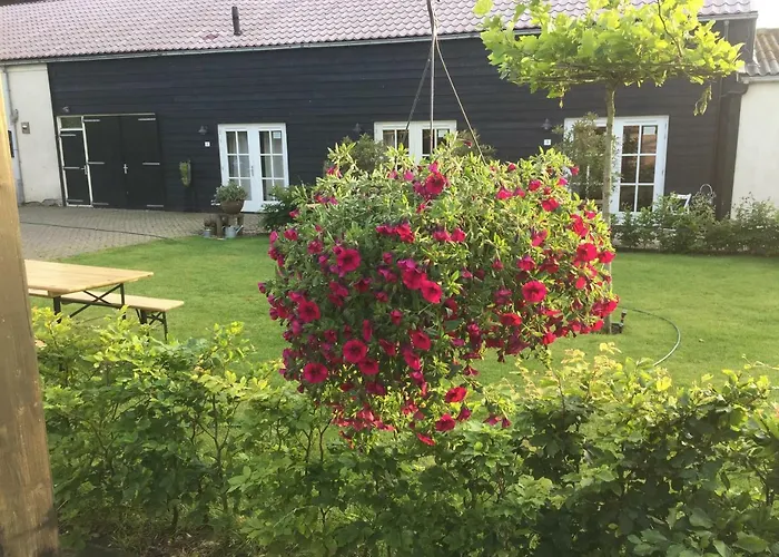 Bed&Breakfast Opperdoes Bed and breakfast